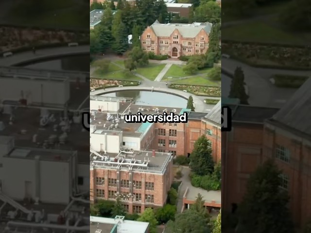 Muchos jóvenes están dudando si ir a la Universidad ¿Qué les dirías?