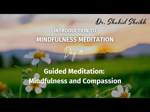 Guided Meditation Mindfulness and Compassion- Day 19