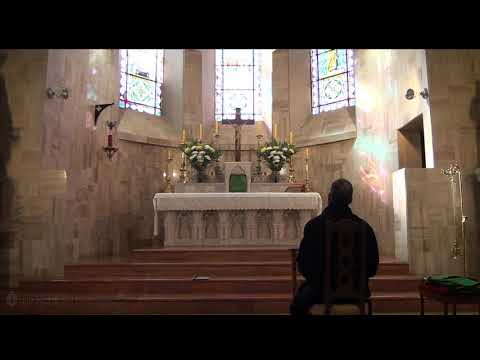 Dominica IX post Pentecosten