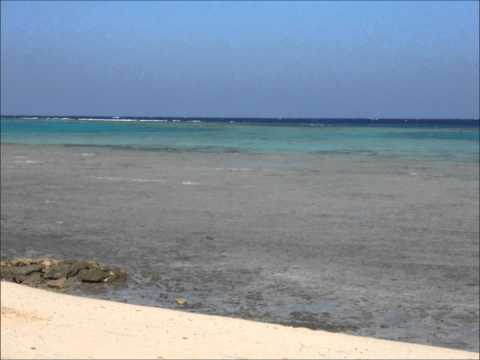 night dreams federico seven ft marti caos