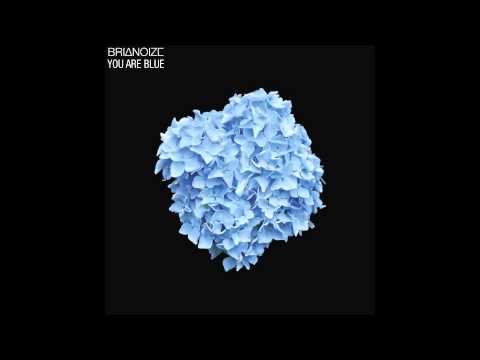 BRIANOIZE - WHEN YOU LEAVE (YOU ARE BLUE, 2014)