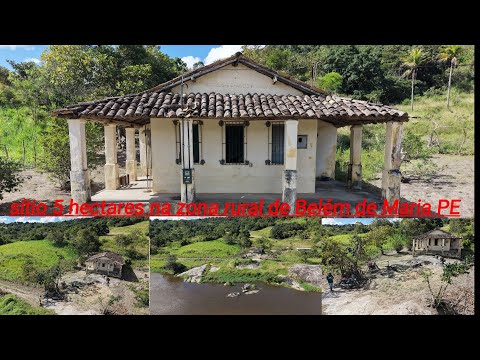 Sítio na zona rural de Belém de Maria 5 hectares a venda $200 mil reais 35 lá de Caruaru 