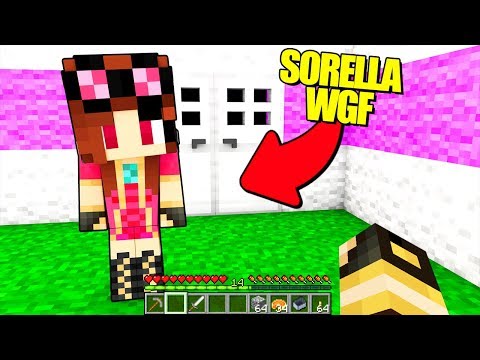 MIA SORELLA GIOCA A MINECRAFT!! (Minecraft Grief)