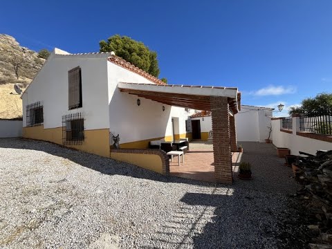 video image