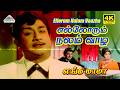 Ellorum Nalam Vaazha 4K Video Song Enga Mama T M Soundararajan Sivaji Ganesan Jayalalithaa
