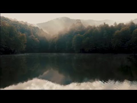 Haris Sunagic & Darko Jelisic - Jutro