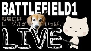 【BF1】女性実況  ふじとマルチプレイ【PS4】
