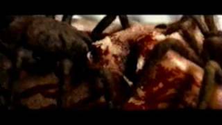 Necrophagia And You Will Live In Terror