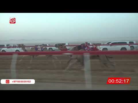  ش 2 (شاهين) لـ حامد بن نصيب الدرعي 2:02 ، شارة الصندوق 2026/05/30 فطامين الروضة