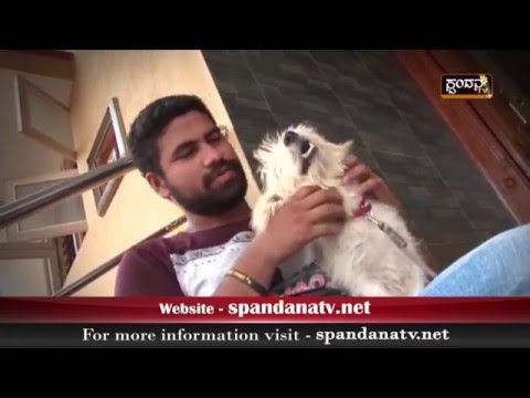 "Pets kalaji " - "ಪೆಟ್ಸ್ ಕಾಳಜಿ"