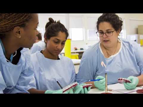 2017 GGAA Finalist: Learning, Teaching & Skills – James Cook University