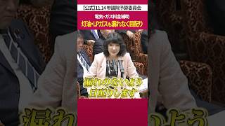 電気・ガス料金補助について［ 政治 片山さつき 財務省 ］