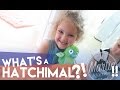 PRESLEE GOT A HATCHIMAL Ll VLOG 76