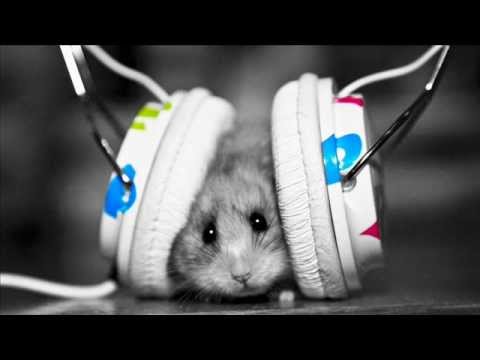 DJ Рыжов feat  E Not  Nookie   Музыка Электро DJ Shishkin  DJ Pi