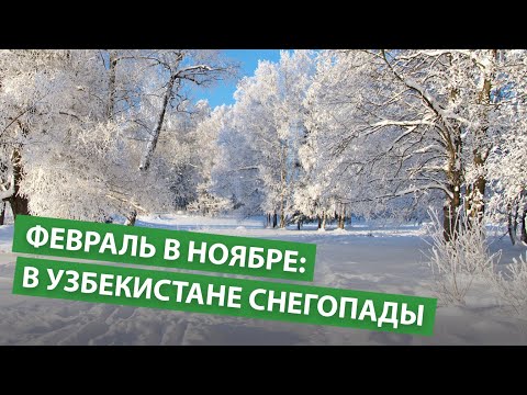 Февраль в ноябре: в Узбекистане морозы и снегопады