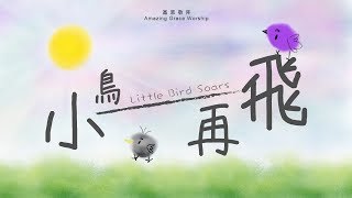 小鳥再飛