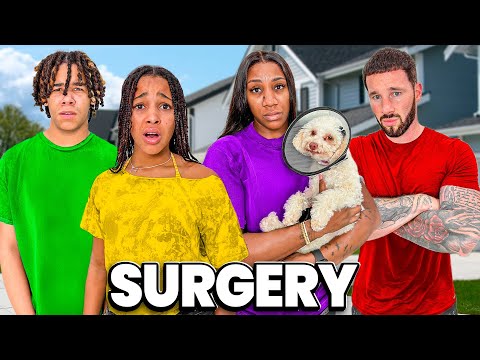 OUR DOG iS GETTiNG SURGERY