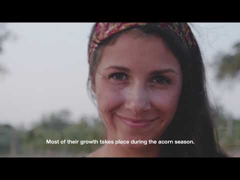 The Alentejo Pork - Portugal Gourmand - S1E3