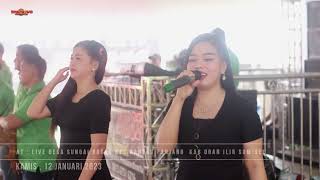 Download lagu RAFIFA MUSIC | RUMPUT TETANGGA | DESA SUNGAI ROTAN OGAN ILIR | wd'Kana&Holil' | SHAPA WG mp3