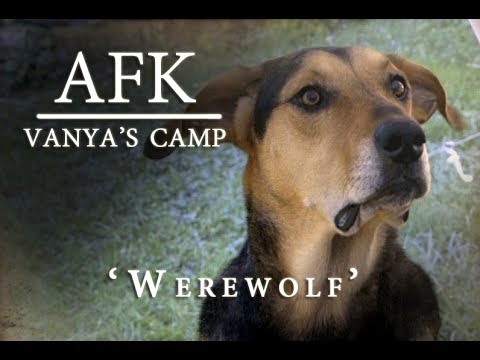 Werewolf, AFK sur Libreplay