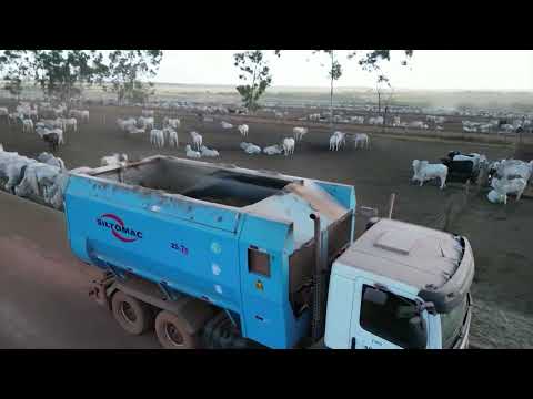 BOIADA TERMINADA EM BOITEL CHEGA A QUASE 23 ARROBAS EM MT