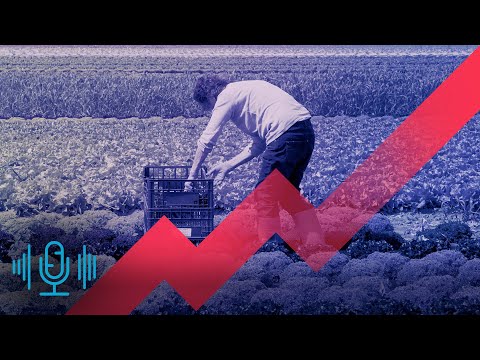 Mindestlohn – verkraftet die Wirtschaft 15 Euro?  | Podcast | Plusminus bei SWR Doku