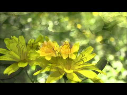 Deep River Woman - Lionel Richie