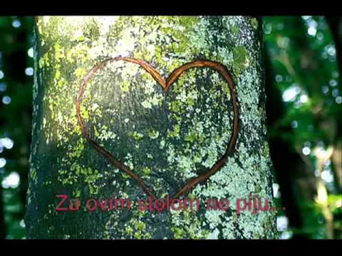 Jasar Ahmedovski - Ljubav bez Ljubavi.flv