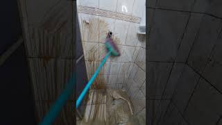 Faxina Pesada no banheiro 🫧 Estava muito sujo  #limpezasatisfatoria #rotinadelimpeza  #cleantok
