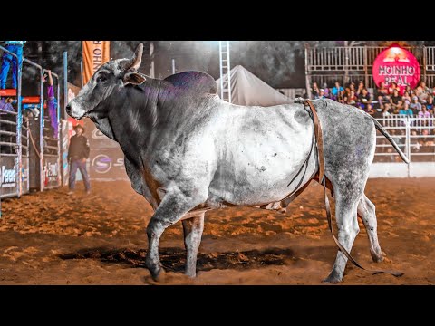 FINAL IN TOUROS - RADAR CRP Ticket Fire 2025 (Official 4K)