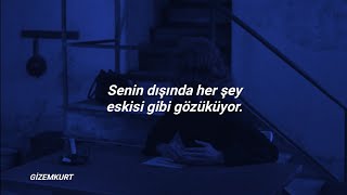 Lana Del Rey - Paris, Texas ft. SYML (Türkçe Çeviri) |LDRmevsimi 7/13