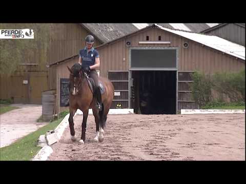 Seitengänge: Travers