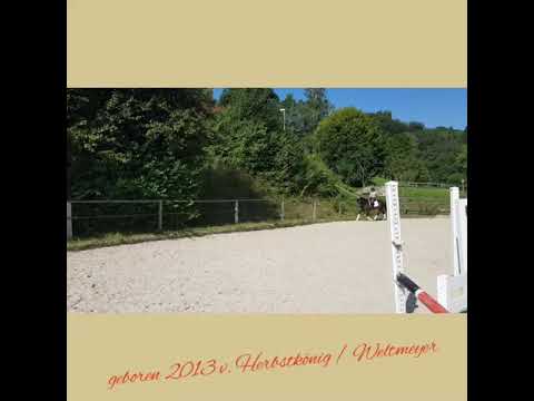 Herbstfee v. Herbstkönig