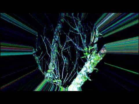 CELIS PLANT feat zlaya.hooba - AMIGXS  (beat by zlaya.hooba)