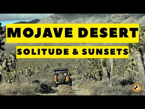 Solitude & Sunsets: Epic Off-Roading the East Mojave Heritage Trail in Winter | Full Adventure Film