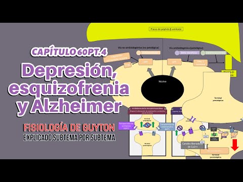 Chapter 60 4/4: Depression, schizophrenia, and Alzheimer's (pathophysiology)