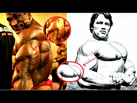 Bodybuilders with The Best Body part in History of Bodybuidling