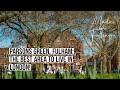 Parsons Green Fulham The Best Area To Live In London