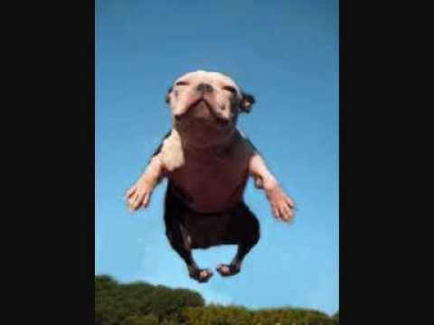 Tempa T - Next Hype VS Booka Shade/Mandy - Body Language aka NEXTLINGO