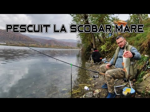 Am pescuit la scobar mare si am rupt lanseta feeder 🎣😥