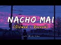 Nacho mai cg trending song slowed +reverb