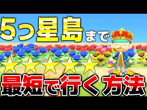 どうぶつの森のヒントを使って島の王になろう