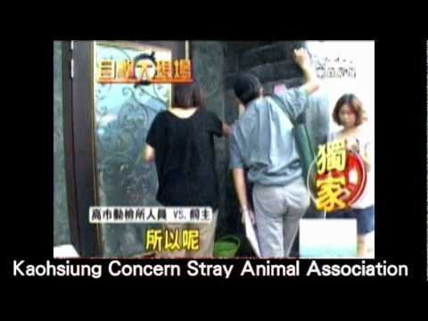 恁聽看麻耶，實在使人捉狂～～(原發表者:小恩)(影片)