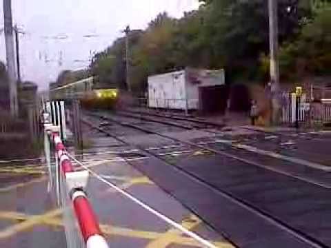 Dart no 8312 arrives and terminates at Bray