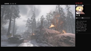 のんびりとアクティブするww2