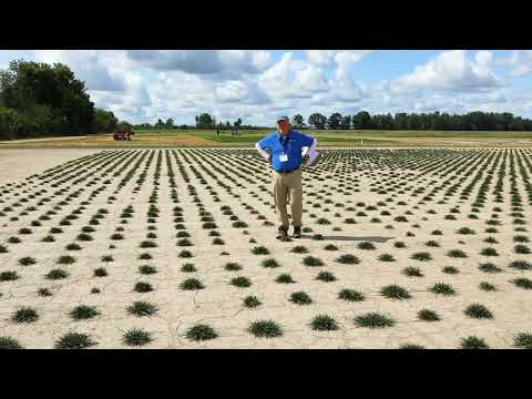 2023 Field Day Highlights