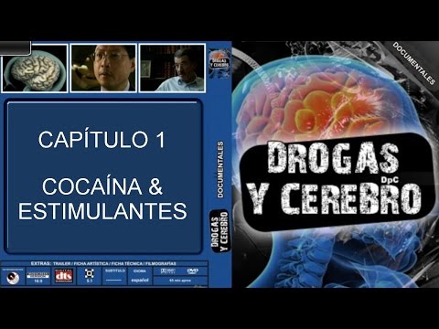 Il bambino in una famiglia la dipendenza alcolica oppressa Colm per comprare 6 15 millilitri di n4 di amp