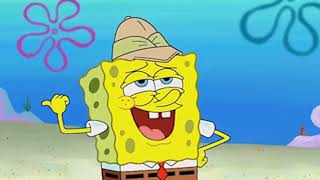 Sponge Your Enthusiasm