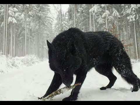 NAKADE / НАКЪДЕ HADJITO FT. LEAH