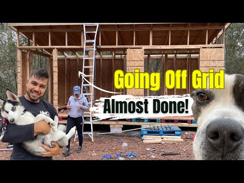 From Wilderness to Home: Young Couple's Epic Off-Grid Transformation! #GETOFFGRIDORDIETRYING